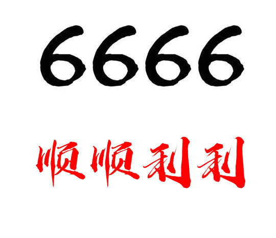 定陶尾号6666吉祥号